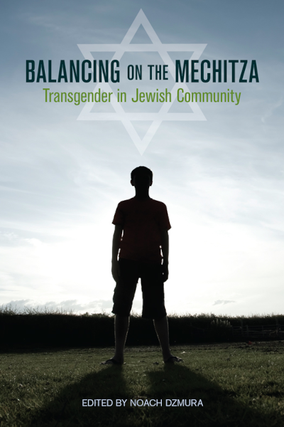 Balancing on the Mechitza - A review